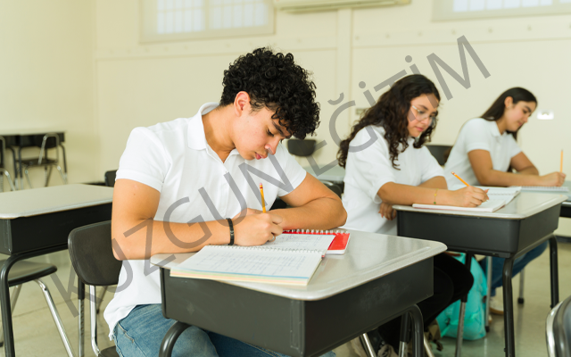 8. Sınıf LGS Denemesi 