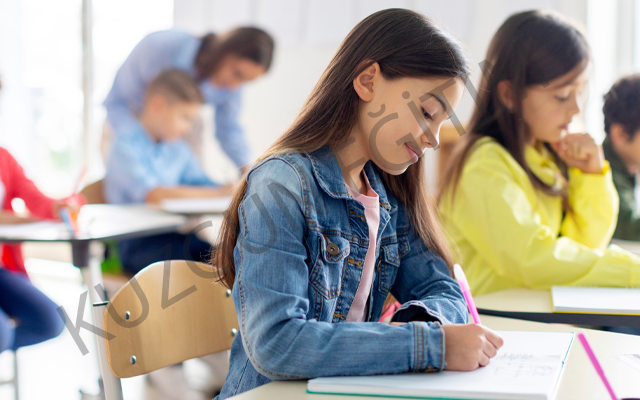 7. Sınıf Lgs Hazırlık